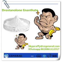 472-61-145 Bodybuilding Steroid Hormon Pulver Drostanolon Enanthate